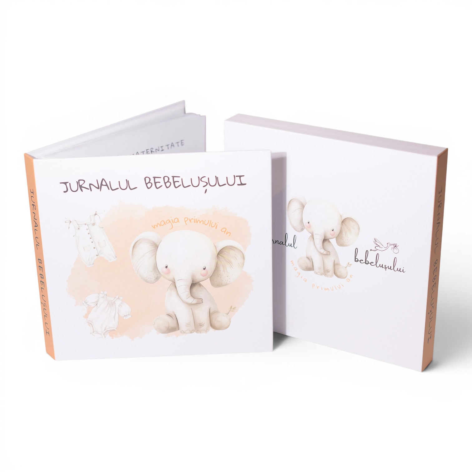 Detaliu copertă jurnal